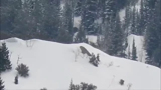 Lone Peak Bigfoot Video