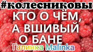 Колесниковы /Кто о чём, а вшивый о бане /Обзор Влогов /