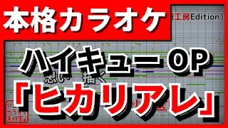 【歌詞付カラオケ】ヒカリアレ(BURNOUT SYNDROMES)(ハイキューOP)【野田工房cover】