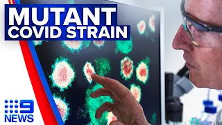 Coronavirus: Six confirmed cases of UK strain in Queensland in hotel quarantine | 9 News Australia