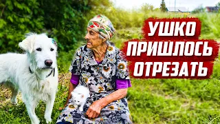 Без ЧП не обошлось | Оренбургская обл, Бугурусланский р/н д.Алга