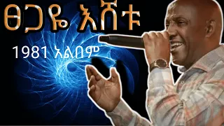 ፀጋዬ እሸቱ  1981 አልበም