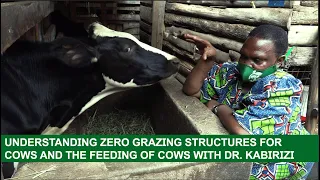 UNDERSTANDING ZERO GRAZING STRUCTURES FOR COWS AND THE FEEDING OF COWS#farming #viral #viralvideo