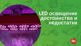 №43 Светодиодное LED-освещение растений: преимущества и недостатки