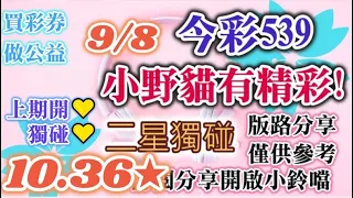 9/8 今彩539 小野貓有"精彩"539 二星獨碰版路分享 💖⭐💖上期開⭐10.36獨碰~開💖甜甜💖