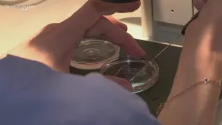 IVF treatments on hold in Alabama after recent court ruling