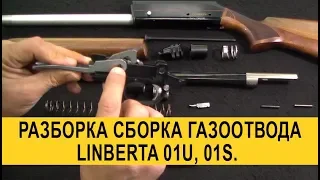 Разборка сборка, уход за газоотводным ружьем на примере Linberta 01U