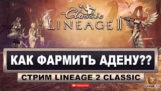 Как фармить адену? Стрим Lineage 2 Classic