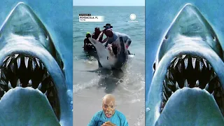 What would you do? Florida Couple Helps Shark Back into Ocean  @accuweather  #jaws #shark #sharks