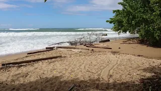 Surfing Puerto Rico 11-12-2022
