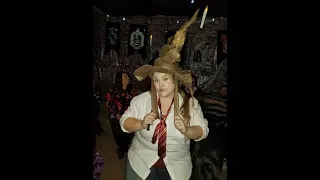 Natalie's Harry Potter 30th Birthday Party