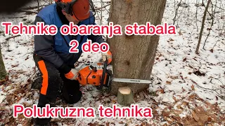 Tehnike obaranja stabala 2 deo! Polukruzna tehnika.