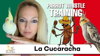 La Cucaracha, Parrot Whistle Training