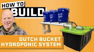 How to Build a Dutch Bucket Hydroponic System - Dutch Bucket Hydroponics