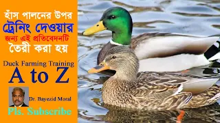 হাঁস পালনের উপর ট্রেনিং দেওয়ার জন্য ভিডিওটি তৈরী | Duck farming training video | Bayezid Moral