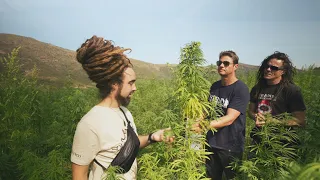 Strain Hunters South Africa Expedition - Episode 1