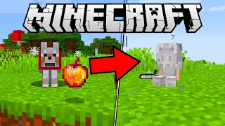 JOGUE UMA MAÇA NO LOBO DO MINECRAFT PARA ELE VIRAR ISSO!! ‹ Stux777 ›