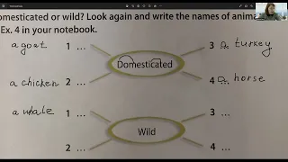 ГДЗ Spotlight 3кл английскийстр.13(81)What kind of animals? Domesticated or wild?(Reptiles or mamm.)