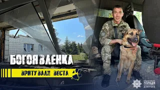 Богоявленка евакуація собаки