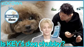 Hyun Moo tells KEY his dog is fat l Home Alone Ep 437 [ENG SUB]