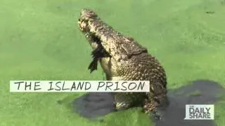 Crocodiles guard Indonesian prison