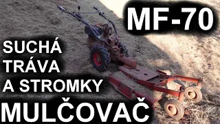 MF-70 s reduktory - Mulčování suché trávy na jaře