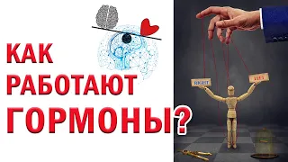 ГОРМОНЫ управляют нами! Эндокринная система и наше здоровье. Гормоны и вес. Интересные факты.