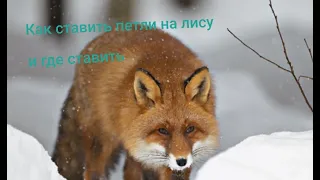 Как ставить петлю на лису  2020!!!