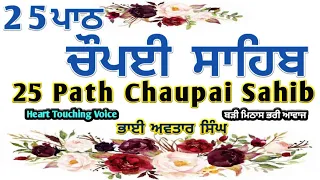 Chaupai Sahib Path 25 | Nitnem| 25 Path Chaupai Sahib | B Avtar Singh | Vol 02