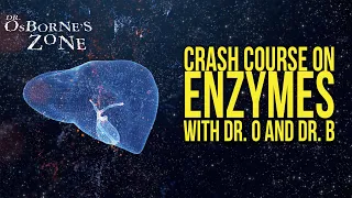 Crash Course on Enzymes with Dr. O and Dr. B! - Dr. Osborne's Zone