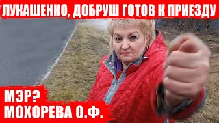 Лукашенко, Добруш готов к приезду! Фига Мохоревой