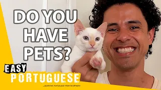 Do Brazilians Love Their Pets? | Easy Portuguese 81