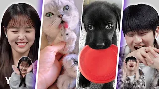 World’s Cutest Animals | Y