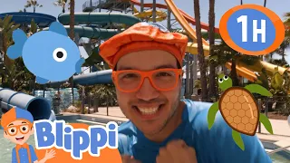 Blippi's Water Park Party! | Kids TV Shows | Swimming Videos | Educational Videos for Kids