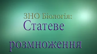 ЗНО Біологія  Статеве ромноження