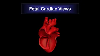 13_FETAL CARDIAC VIEWS