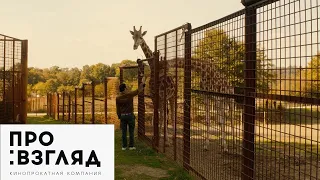 Любовь и прочий зоопарк / Gaspard va au mariage — русский тизер-трейлер (2017)