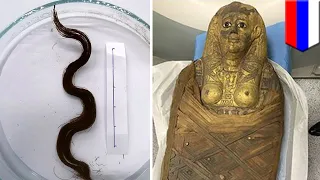 Ancient Egyptian curls found preserved after 3,000 years - TomoNews