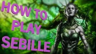 Divinity: Original Sin 2 - How to build Sebille? Build preset Sebille guide