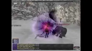 FFXI - Koenigstiger ninja solo