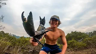 BIG MUDCRAB Caught Using Crab Trap - Catch & Cook