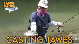 MANCING IKAN TAWES EKOR MERAH DAPAT BABON | CASTING BADER | BADER MANIA