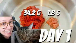 How to switch cat food without making your cat sick