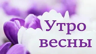 Утро весны ☀️ / Распускаются красивые цветы  🌺