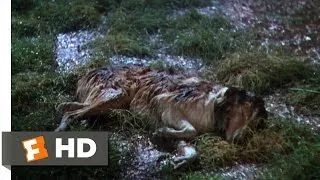 Lassie Come Home (6/10) Movie CLIP - Dally & Dan'l to the Rescue (1943) HD