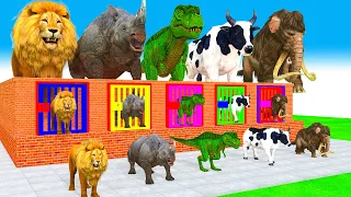 5 Giant Duck, Monkey, Lion, rhino, cow, T rex, elephent, Sheep, Transfiguration funny animal 2023