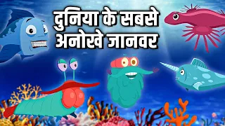 दुनिया के सबसे अनोखे जानवर | Weird Animals In The World In Hindi | Dr.Binocs | Educational Videos