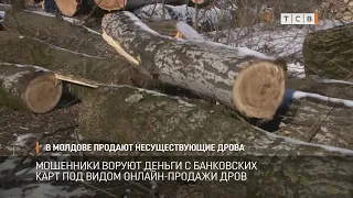 В Молдове продают несуществующие дрова