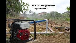 DIY irrigation system works so Good... ( FIRST START UP)