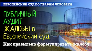 Публичный аудит жалобы в Европейский суд. Как правильно писать жалобу в ЕСПЧ.